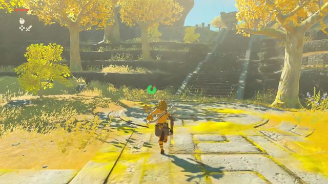Tears of the Kingdom Nintendo Switch 2 Edition